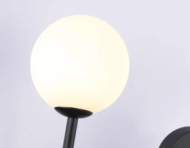 Бра Ambrella Light FL66389 — черный, ракурс 4