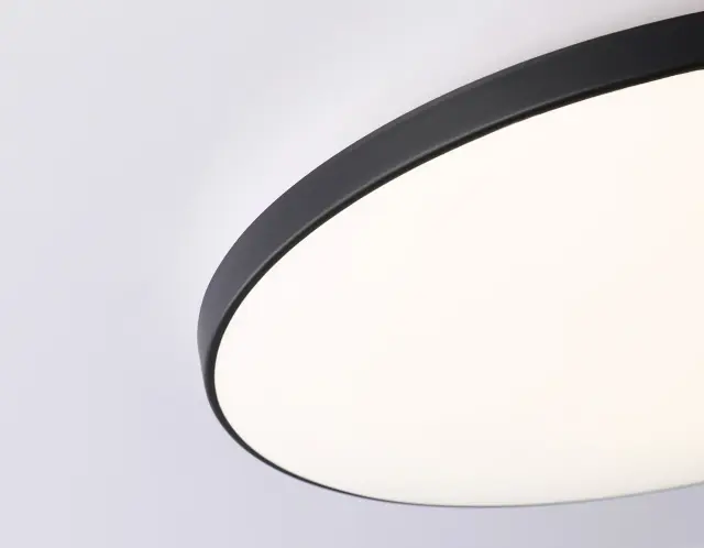 Светильник для ванной комнаты Ambrella Light FZ1224 — черный, ракурс 2