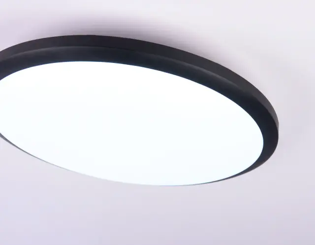 Светильник для ванной комнаты Ambrella Light FZ1233 — черный, ракурс 2