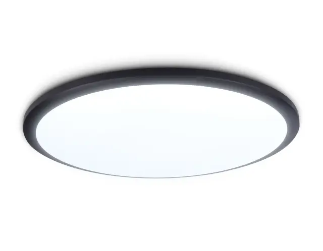 Светильник для ванной комнаты Ambrella Light FZ1235 — черный