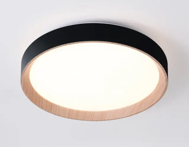 Светильник Ambrella Light FZ1324 — черный, ракурс 4