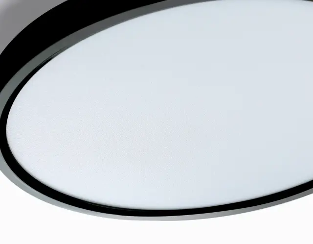 Светильник для ванной комнаты Ambrella Light FZ3055 — черный, ракурс 3