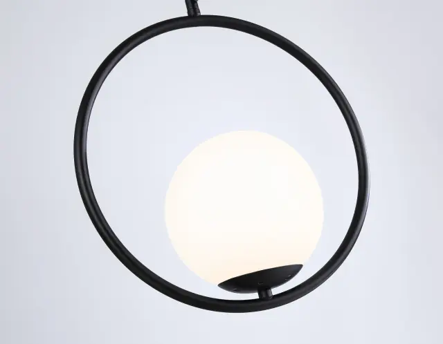 Светильник Ambrella Light TR2592 — черный, ракурс 2