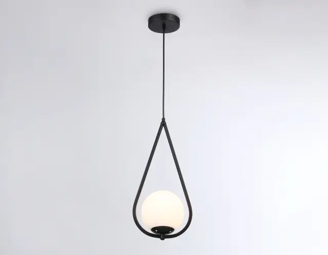 Светильник Ambrella Light TR2598 — черный, ракурс 5