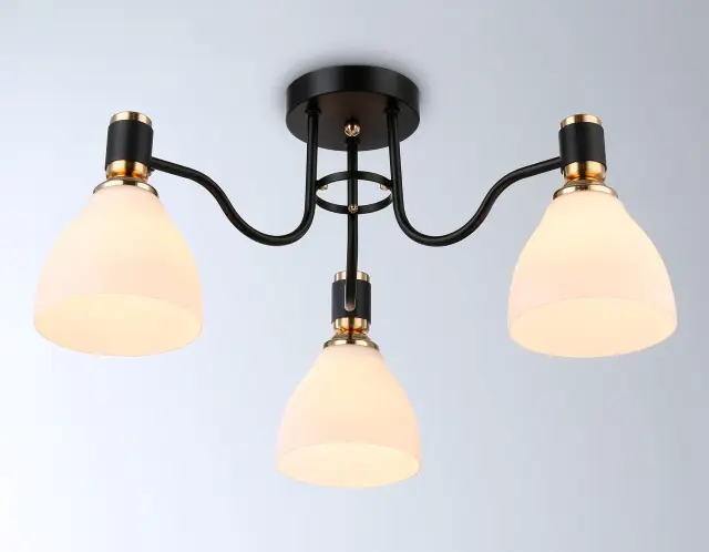 Люстра Ambrella Light TR303303 — черный, ракурс 5