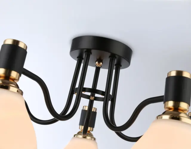 Люстра Ambrella Light TR303307 — черный, ракурс 2