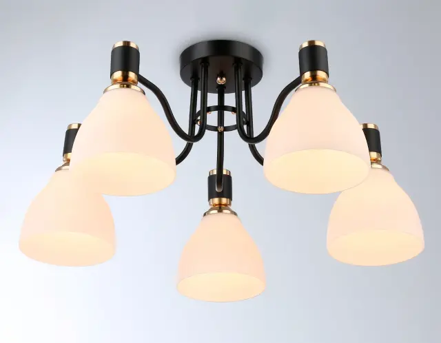 Люстра Ambrella Light TR303307 — черный, ракурс 6