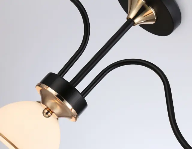 Люстра Ambrella Light TR3161 — черный, ракурс 3