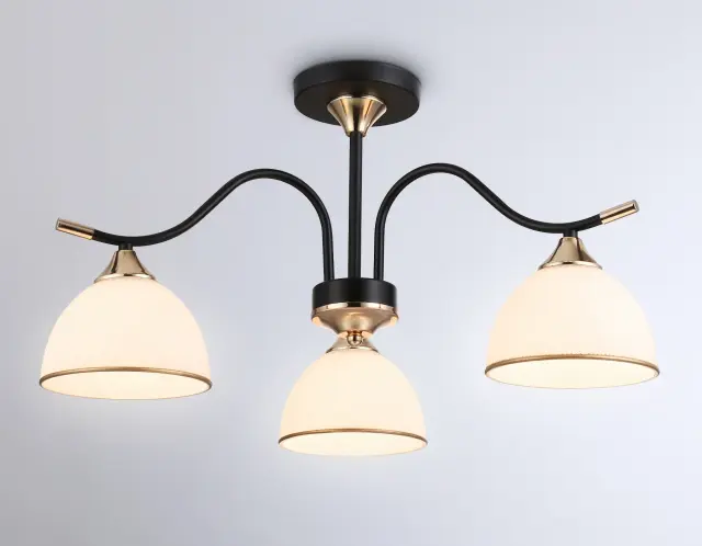 Люстра Ambrella Light TR3161 — черный, ракурс 5