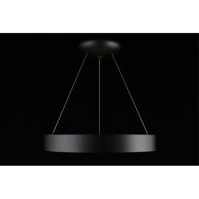 Светильник Aployt APL.052.13.60 MICHELL — черный, ракурс 11