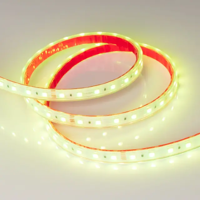 Светодиодная лента герметичная RTW-PS-B60-12mm 24V RGB (14.4 W/m, IP67, 5060, 5m), ракурс 2