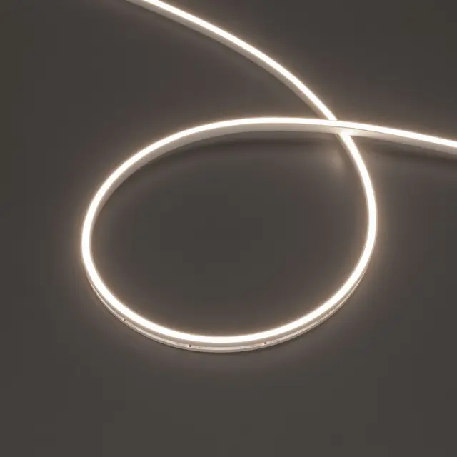 Гибкий неон MOONLIGHT-SIDE-T-M196-03x06mm 24V Day4000 (7.2 W/m, IP54, 2216, 5m, wire x2)