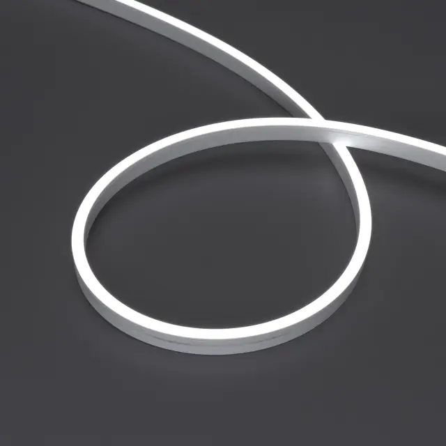 Гибкий неон MOONLIGHT-SIDE-A120-06x12mm 24V White6000 (9.6 W/m, IP65, 5m, wire x2)