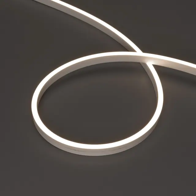 Гибкий неон MOONLIGHT-SIDE-A120-06x12mm 24V Day4000 (9.6 W/m, IP65, 5m, wire x2)