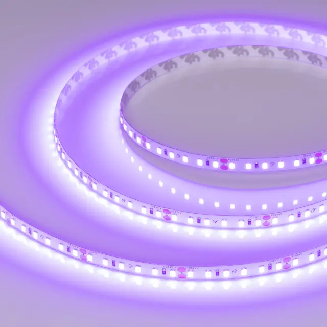 Светодиодная лента RT-A120-8mm 24V Violet (9.6 W/m, IP20, 2835, 5m)