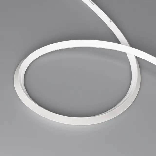 Гибкий неон MOONLIGHT-3D-X544-10x10mm 24V Warm3000 (8 W/m, IP67, 5m, wire x1), ракурс 3