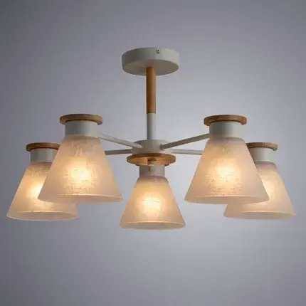 Люстра Arte Lamp A1031PL-5WH TYLER — белый, ракурс 2