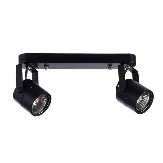 Спот Arte Lamp A1310PL-2BK LENTE — черный