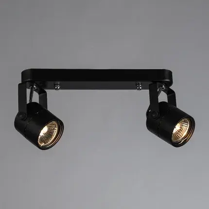 Спот Arte Lamp A1310PL-2BK LENTE — черный, ракурс 2