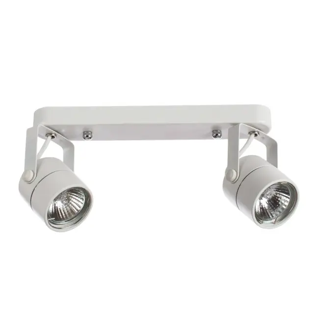 Спот Arte Lamp A1310PL-2WH LENTE — белый