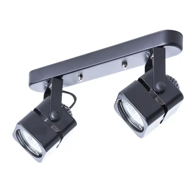 Спот Arte Lamp A1315PL-2BK MISAM — черный