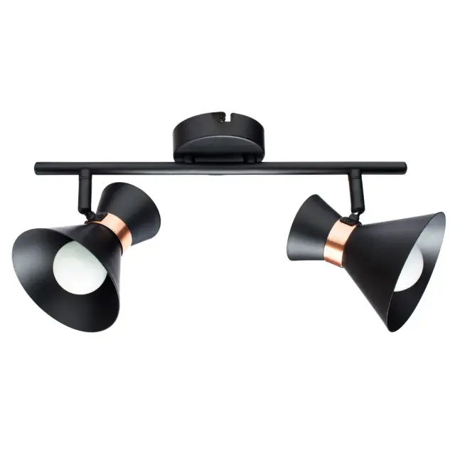 Спот Arte Lamp A1406AP-2BK BALTIMORE — черный
