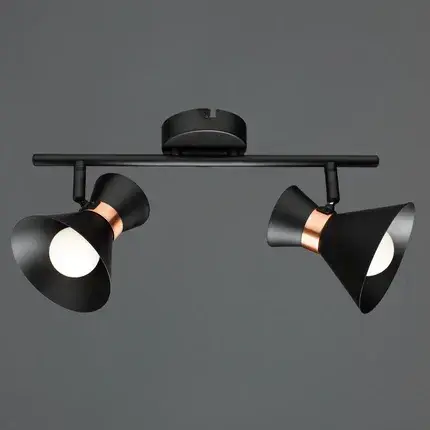 Спот Arte Lamp A1406AP-2BK BALTIMORE — черный, ракурс 2