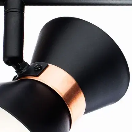 Спот Arte Lamp A1406AP-2BK BALTIMORE — черный, ракурс 3