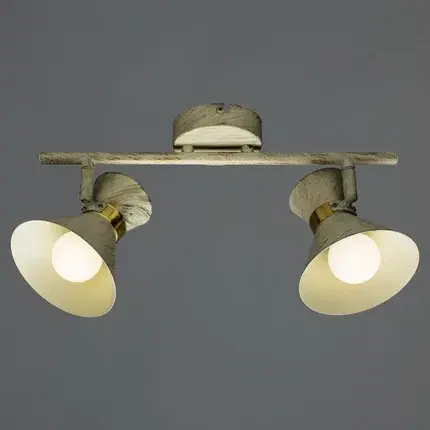 Спот Arte Lamp A1406AP-2WG BALTIMORE — белое золото, ракурс 2