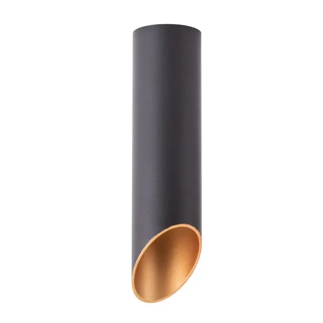 Точечный светильник Arte Lamp A1535PL-1BK PILON-GOLD — черный