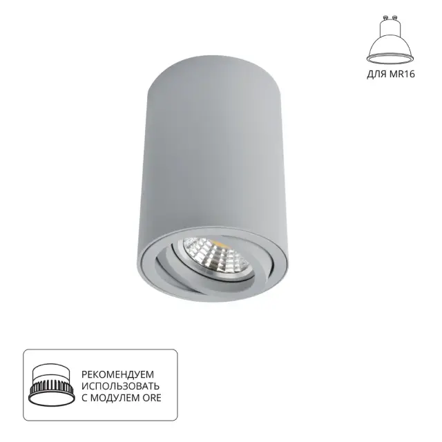 Точечный светильник Arte Lamp A1560PL-1GY SENTRY — серый
