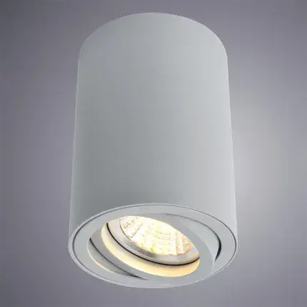 Точечный светильник Arte Lamp A1560PL-1GY SENTRY — серый, ракурс 2