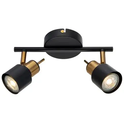 Спот Arte Lamp A1906PL-2BK ALMACH — черный