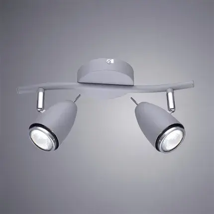 Спот Arte Lamp A1966AP-2GY REGISTA — серый, ракурс 2