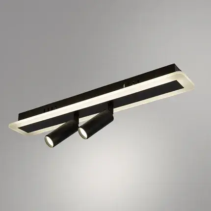 Светильник Arte Lamp A2607PL-22BK TOMMY — черный, ракурс 2