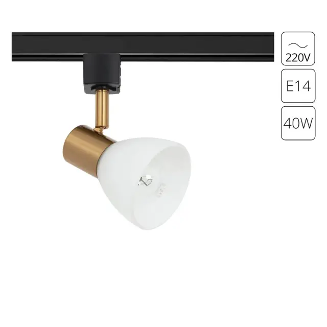 Светильник для однофазного трека Arte Lamp A3117PL-1BK FALENA — черный