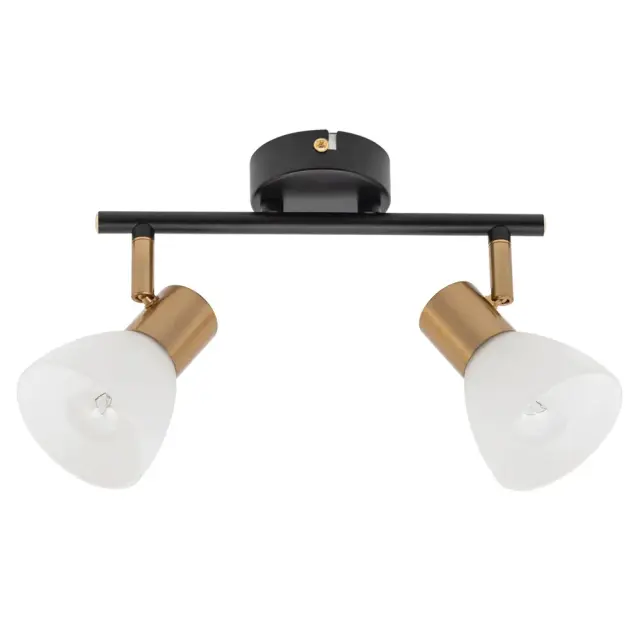 Спот Arte Lamp A3117PL-2BK FALENA — черный