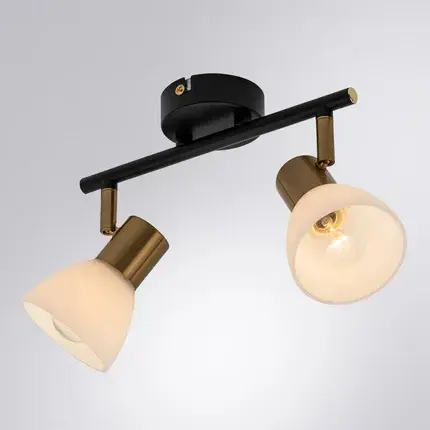 Спот Arte Lamp A3117PL-2BK FALENA — черный, ракурс 2