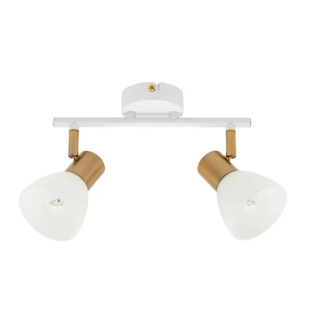 Спот Arte Lamp A3117PL-2WH FALENA — белый