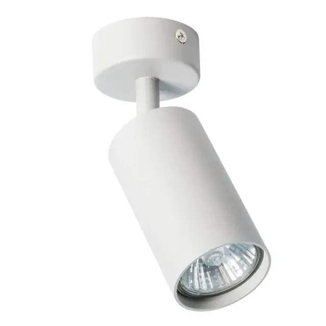 Спот Arte Lamp A3216PL-1GY AQUARIUS — серый