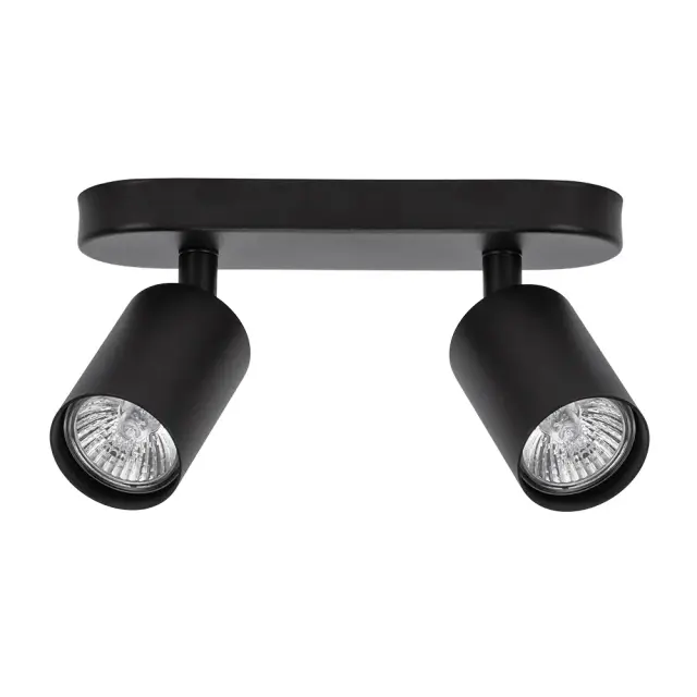 Спот Arte Lamp A3226PL-2BK AQUARIUS — черный