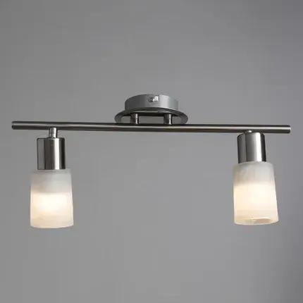 Спот Arte Lamp A4510PL-2SS CAVALLETTA — серебряный, ракурс 2