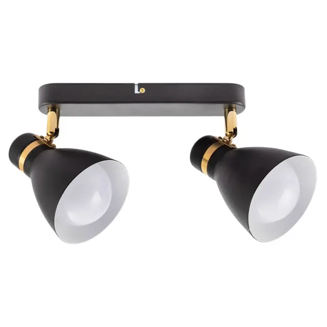 Спот Arte Lamp A5047PL-2BK FAFNIR — черный