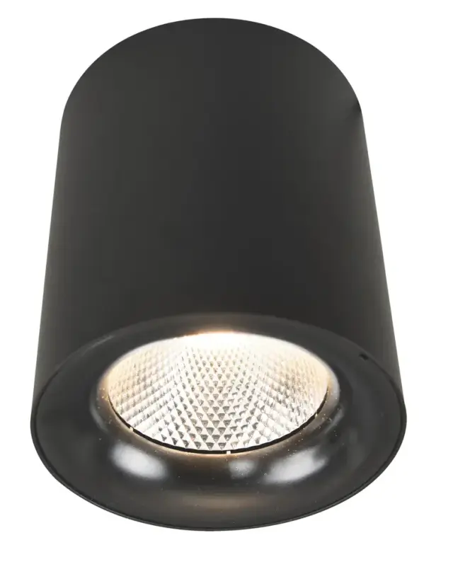 Точечный светильник Arte Lamp A5118PL-1BK FACILE — черный