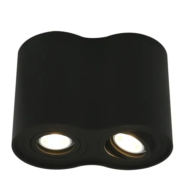 Точечный светильник Arte Lamp A5644PL-2BK FALCON — черный
