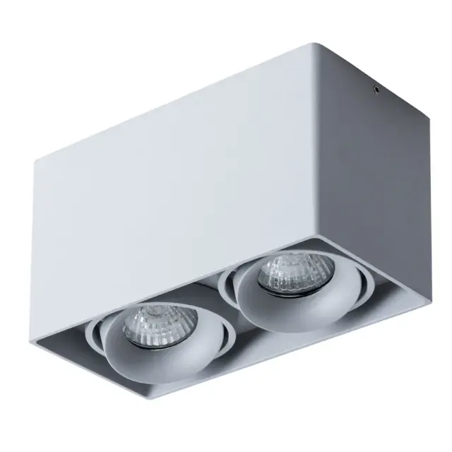 Точечный светильник Arte Lamp A5654PL-2GY PICTOR — серый