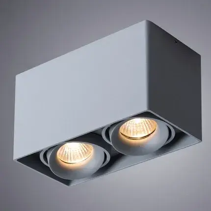 Точечный светильник Arte Lamp A5654PL-2GY PICTOR — серый, ракурс 2