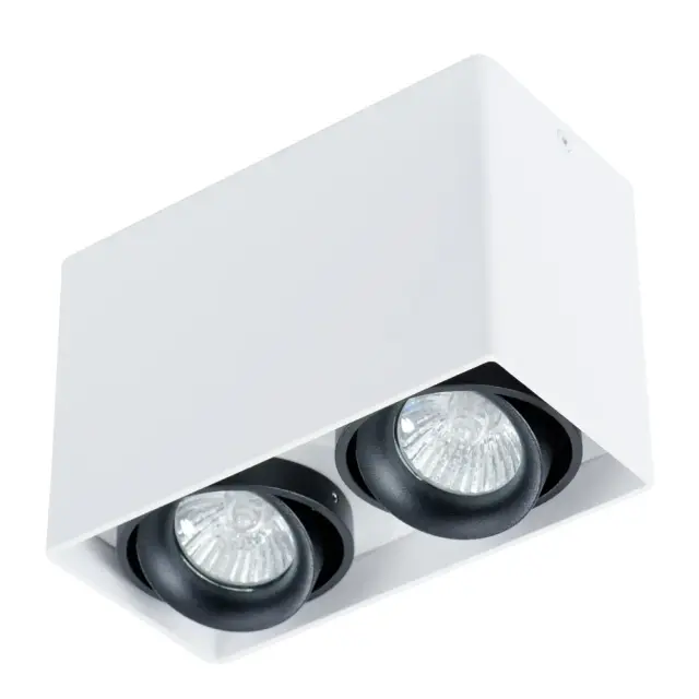 Точечный светильник Arte Lamp A5655PL-2WH PICTOR — белый