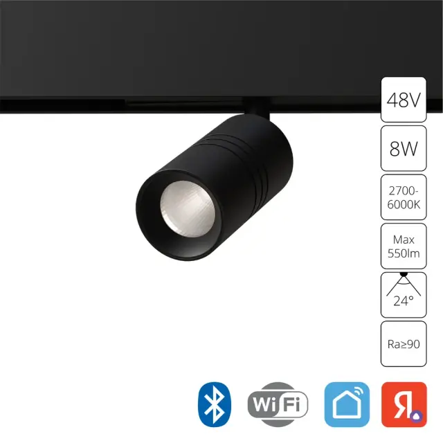 Светильник для магнитного трека Arte Lamp A5740PL-1BK EXPERT — черный