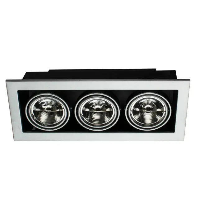 Точечный светильник Arte Lamp A5930PL-3SI CARDANI MEDIO — серебряный